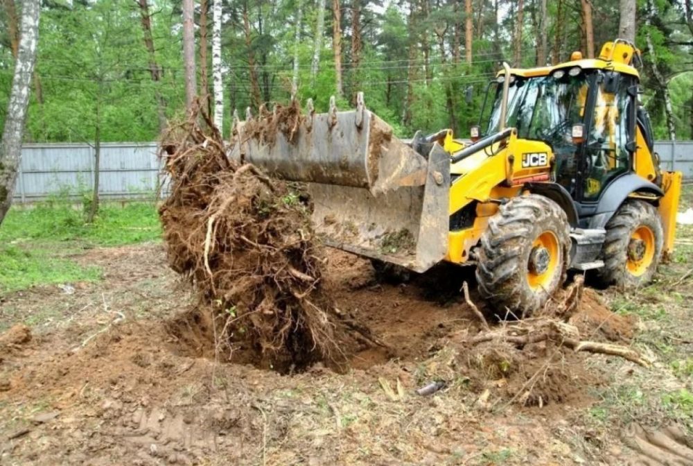 Удаление пней и корчевание вручную и со спецтехникой стоимость услуг и где заказать - Казань