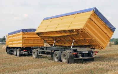 Услуги зерновозов для перевозки зерна - Альметьевск, цены, предложения специалистов
