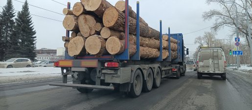 Поиск транспорта для перевозки леса, бревен и кругляка стоимость услуг и где заказать - Казань